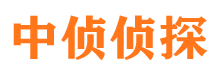 延长市侦探